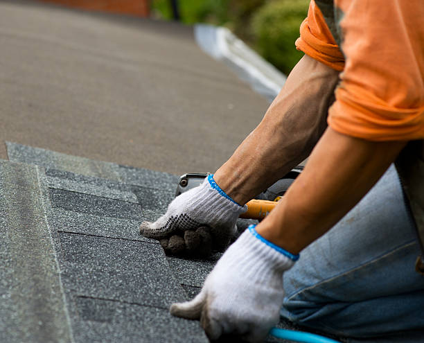 Best Roof Gutter Cleaning  in Osakis, MN